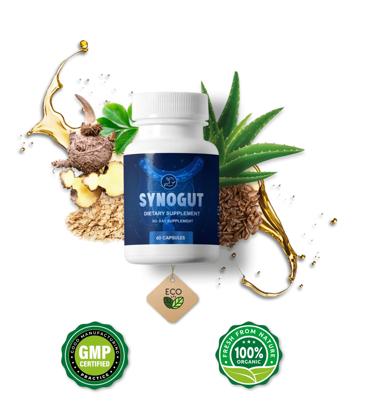 SynoGut  buy